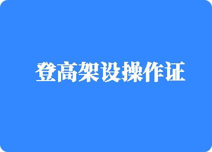 阴劲插入阴道一级视频登高架设操作证